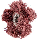 PFERD POLINOX polerstjärnor PNST 25-2 A 80